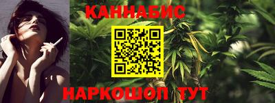 крисы Будённовск
