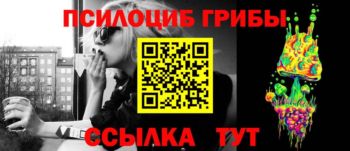 Псилоцибиновые грибы Psilocybe Тосно