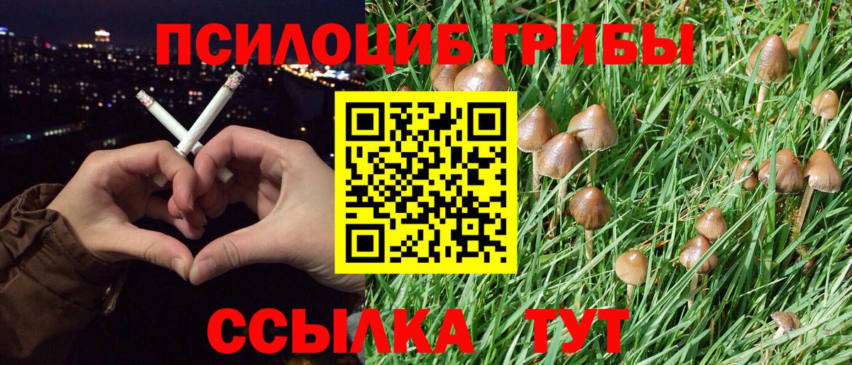 Тосно  Псилоцибиновые грибы мицелий  Вход с VPN 